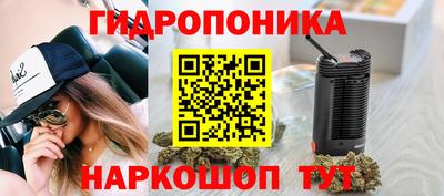 таблы Гай